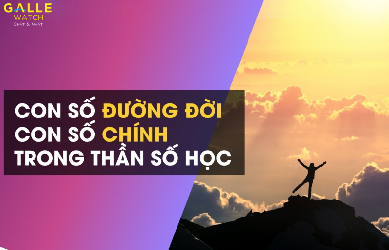 Chỉ số đường đời - Dẫn dắt đến với con đường thành công