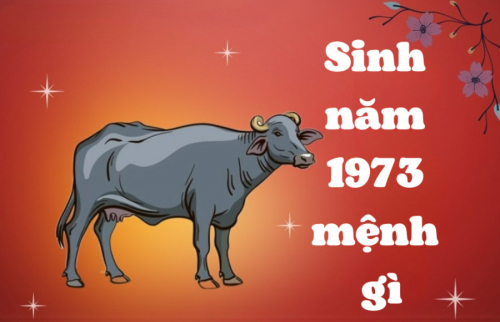 Tuổi Quý Sửu sinh năm 1973 mệnh gì, cung gì, tuổi con gì?