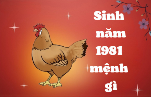 Tuổi Tân Dậu năm 1981 mệnh gì, hợp màu gì, tuổi con gì