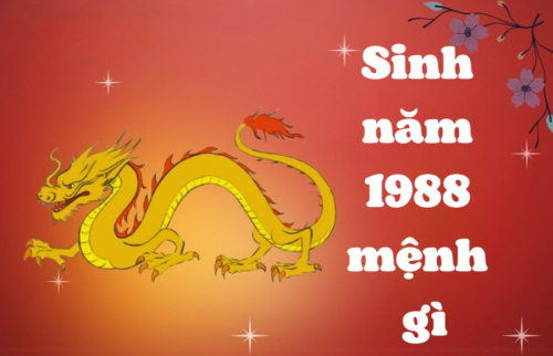 Tuổi Mậu Thìn năm 1988 mệnh gì, cung gì, tuổi con gì?