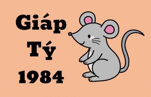 Tuổi Giáp Tý sinh năm 1984 - Tử vi trọn đời Nam|Nữ mạng