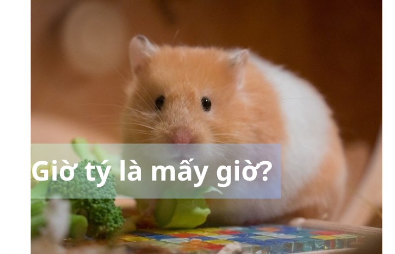 Giờ tý là mấy giờ? Khám phá chi tiết vận mệnh của người sinh giờ Tý
