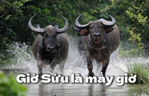 Giờ sửu là từ mấy giờ? Giải mã chi tiết vận mệnh