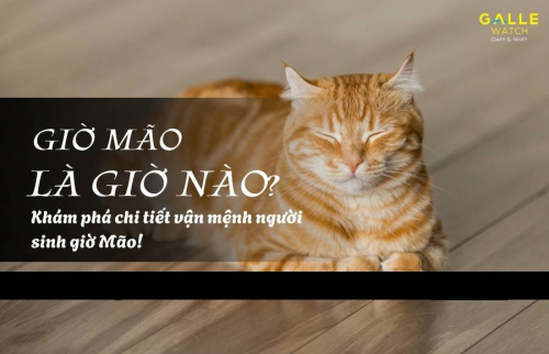 Giờ Mão là giờ nào? Khám phá chi tiết vận mệnh người sinh giờ Mão