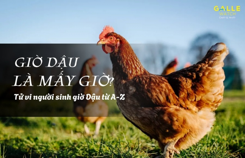 Giờ Dậu là mấy giờ? Tử vi người sinh giờ Dậu từ A-Z