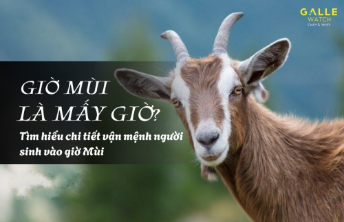 Giờ Mùi là mấy giờ? Tìm hiểu chi tiết vận mệnh người sinh vào giờ Mùi