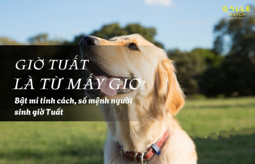 Giờ Tuất là từ mấy giờ? Bật mí tính cách, số mệnh người sinh giờ Tuất
