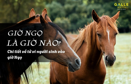 Giờ Ngọ là giờ nào? Chi tiết về tử vi người sinh vào giờ Ngọ