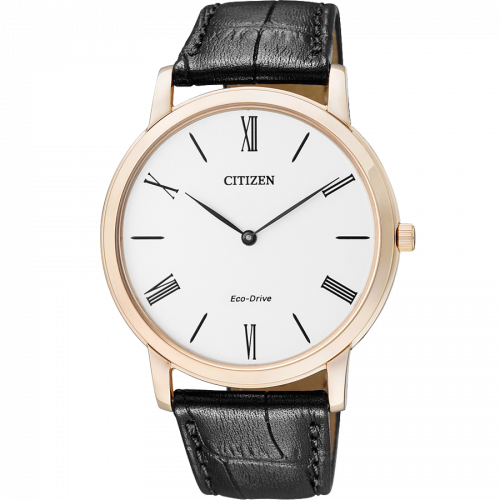 Đồng Hồ Nam Citizen Eco-Drive AR1113-12B