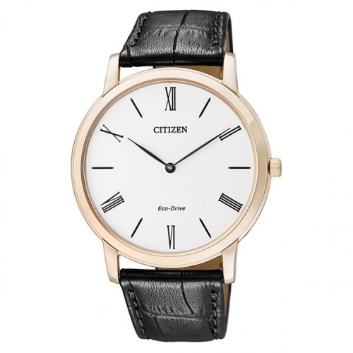 Đồng hồ Citizen AR1113.12B