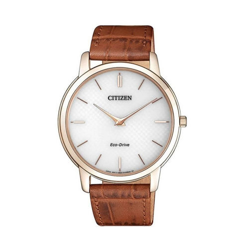Đồng hồ Nam Citizen AR1133-15A