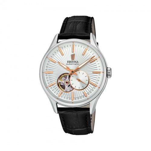 Đồng hồ nam Festina F16975/1