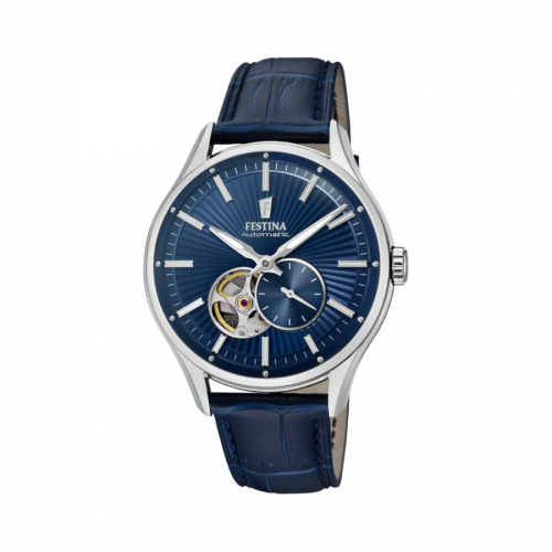 Đồng hồ nam Festina F16975/2