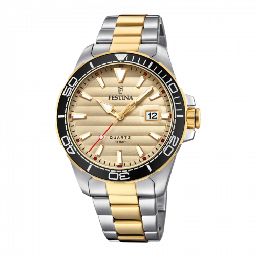 Đồng hồ nam Festina F20362/1