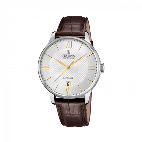 Đồng hồ nam Festina F20484/2