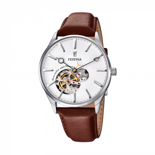 Đồng hồ nam Festina F6846/1