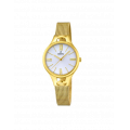 Đồng hồ Festina F16951/1