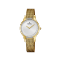 Đồng hồ nữ Festina F20495/1
