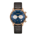 Đồng hồ Rado Nam R22911205