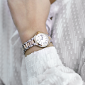 Đồng hồ Frederique Constant FC-200M1ER32B