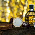Đồng hồ Frederique Constant FC-200RS5S35