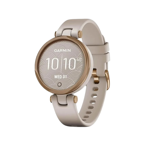 Đồng hồ Garmin 010-02384-51