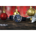 Đồng hồ nam Festina F16975/2