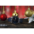 Đồng hồ nam Festina F20205/3
