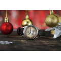 Đồng hồ nam Festina F6857/2