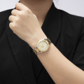 Đồng hồ Festina F16933/1