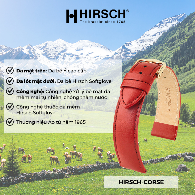 DÂY DA HIRSCH Corse 03202010-2-24