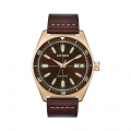 Đồng Hồ Nam Citizen Eco-Drive AW1593-06X