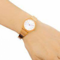 Đồng hồ Calvin Klein K6C23646