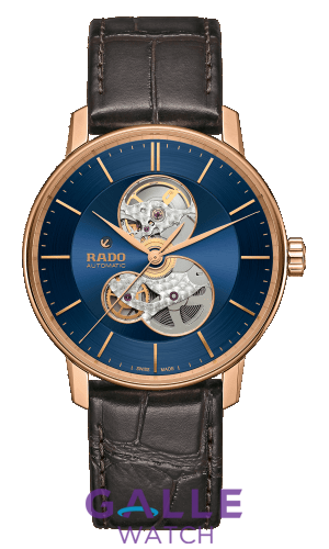 Đồng hồ  Rado R22895215