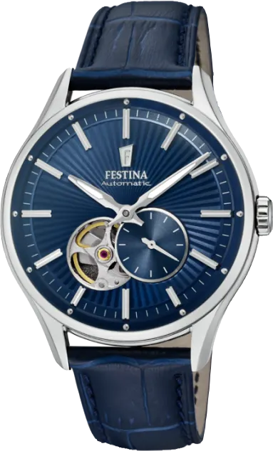 Đồng hồ nam Festina F16975/2