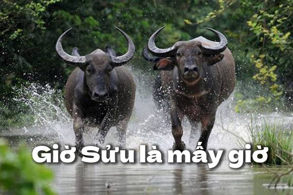 Giờ sửu là mấy giờ
