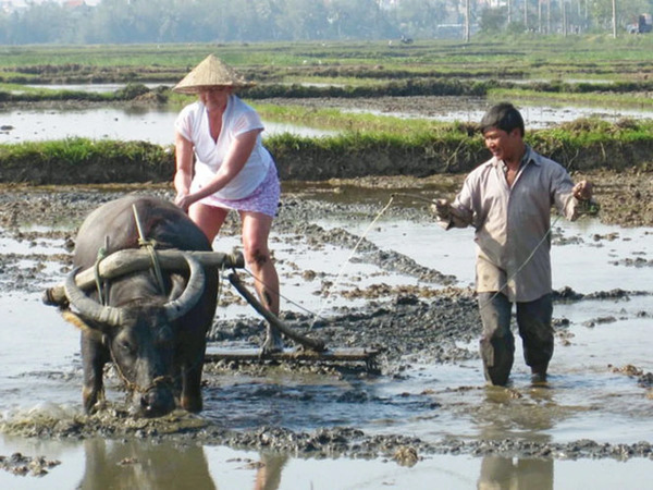 Canh giờ gắn bó mật thiết với nhịp sống tự nhiên và hoạt động nông nghiệp của người xưa
