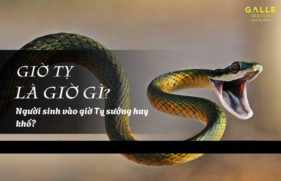 giờ tỵ là mấy giờ