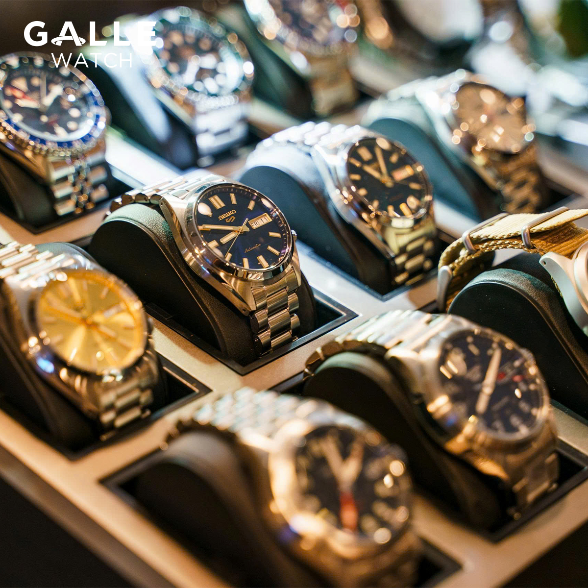 chương trình đào tạo của Seiko