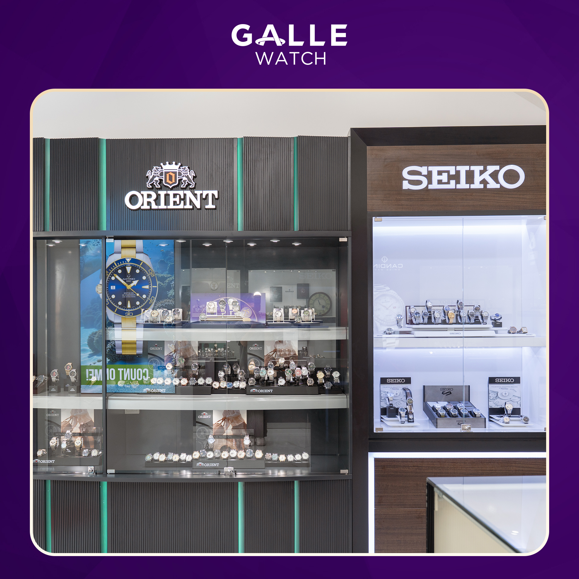 showroom cầu diễn
