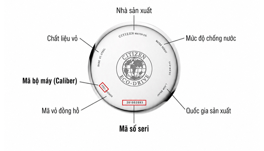 Các kí hiệu và thông số thường xuất hiện trên đồng hồ Citizen