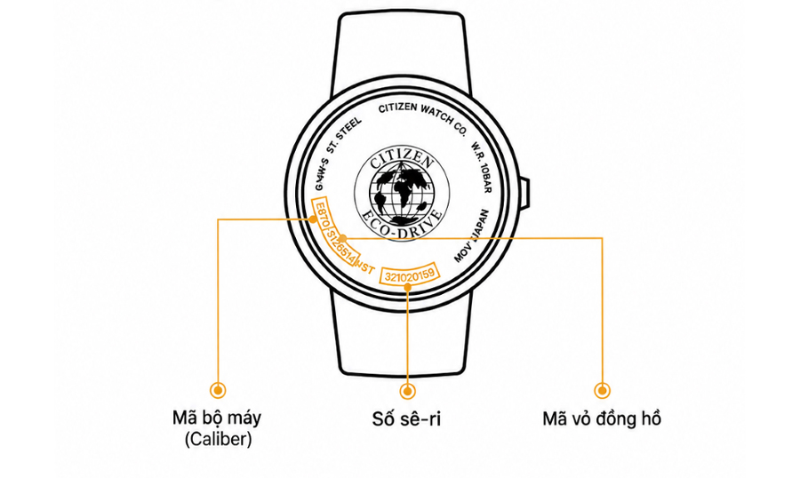 Quan sát mã Caliber trên đồng hồ Citizen