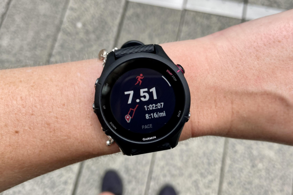 Garmin Forerunner 255