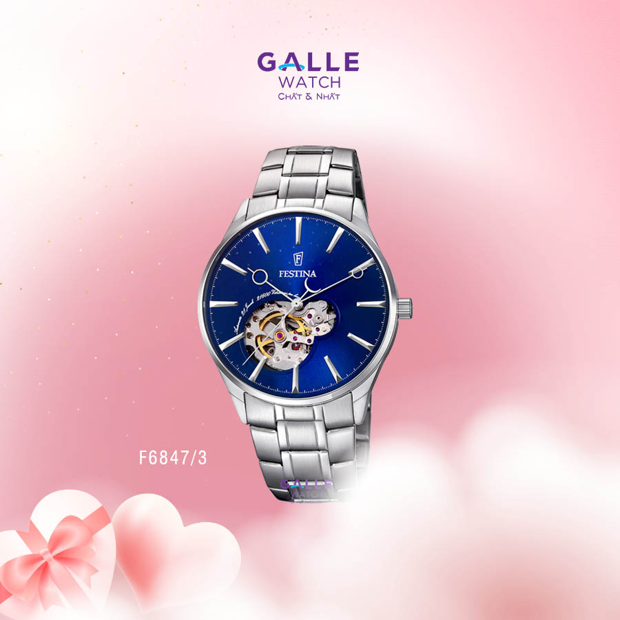 Ảnh Đồng hồ nam Festina F6847/3