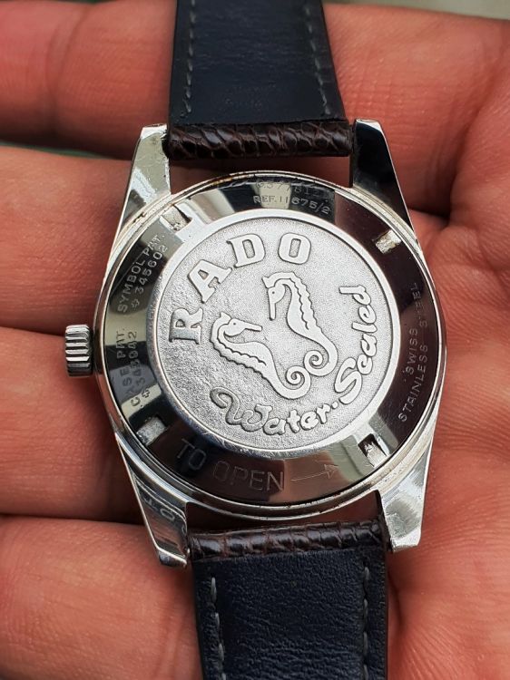 rado-golden-horse