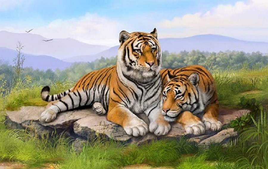Tùy theo năm sinh mà mệnh cách của người tuổi Dần khác nhau
