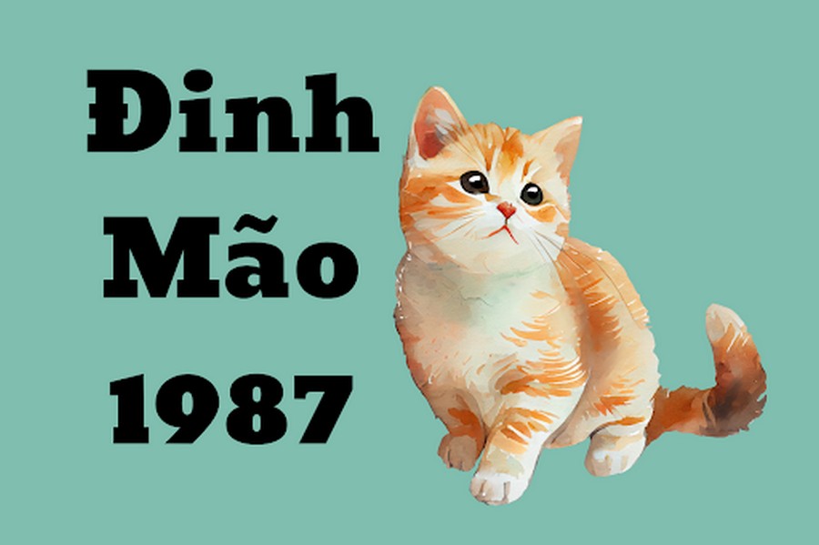 Tuổi Đinh Mão sinh năm 1987