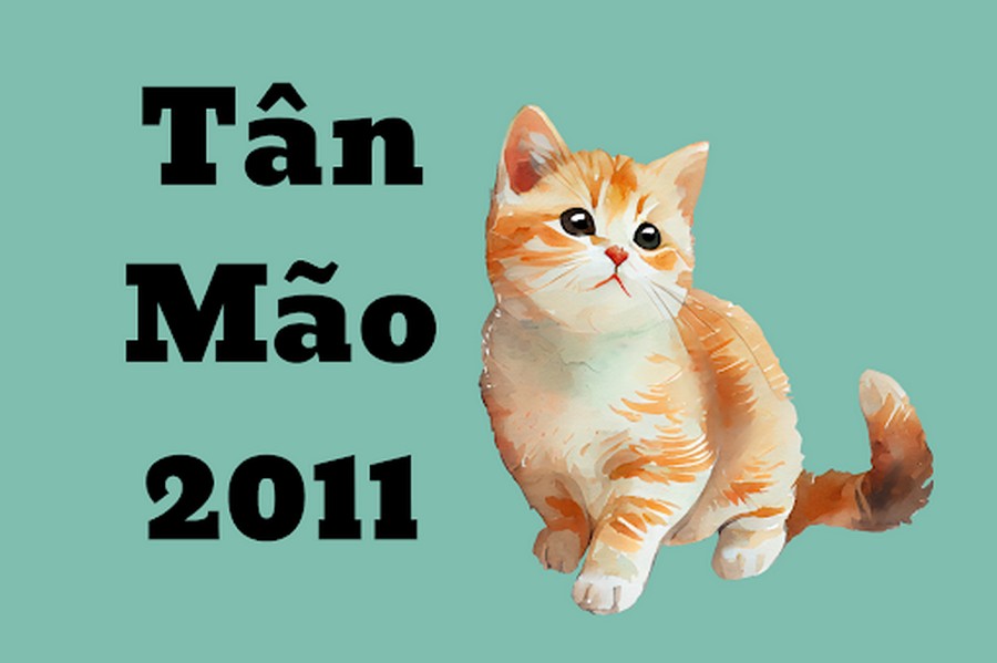 Tuổi Tân Mão 2011