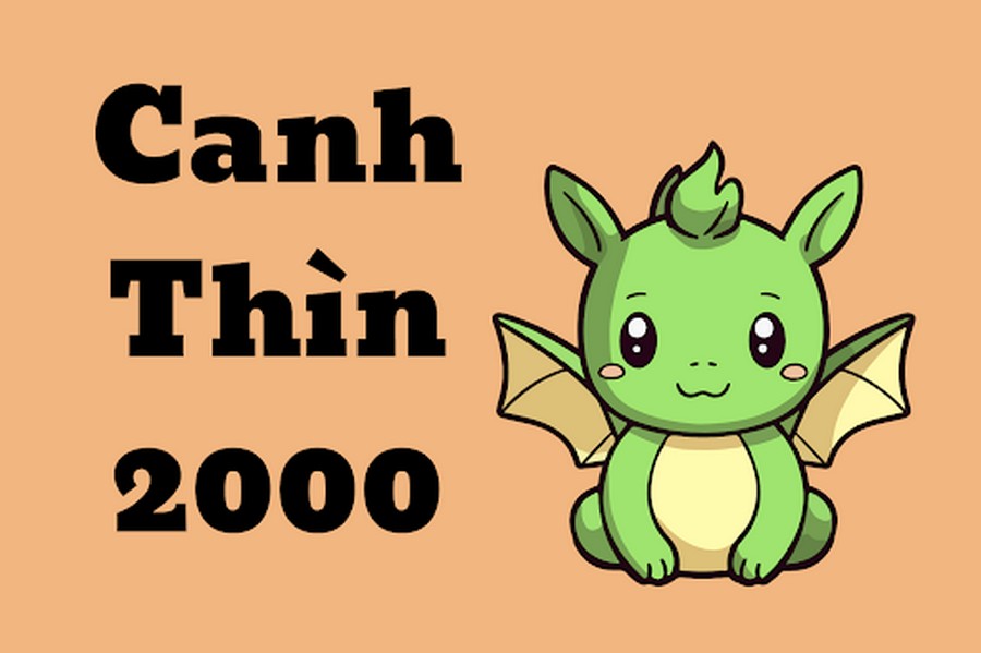 Sinh năm 2000 mang tuổi Canh Thìn 