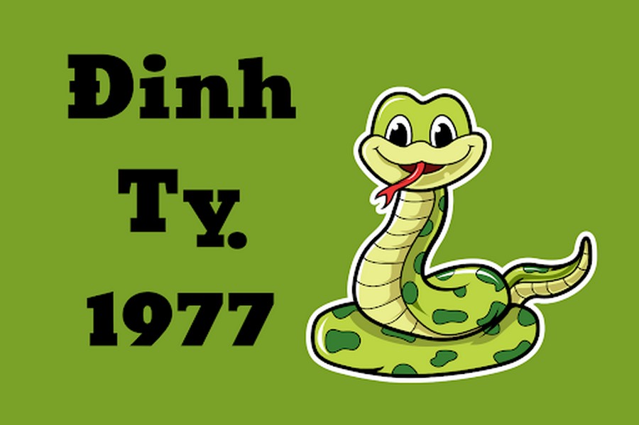 Tuổi Đinh Tỵ là những người sinh năm 1977